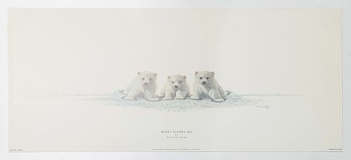 Ready steady wildlife by - ready,