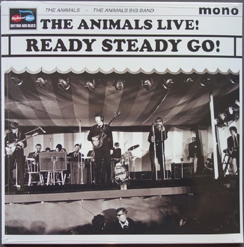 Animals ready steady 1965 - steady,